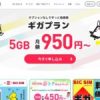 徹底解説！ビックカメラ格安SIM「BIC SIM」の携帯キャリア決済現金化事情