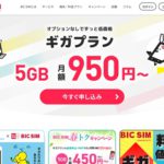 徹底解説！ビックカメラ格安SIM「BIC SIM」の携帯キャリア決済現金化事情